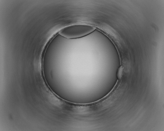 X0000112501280200908171301