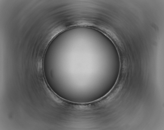 X0000112501281200908171301