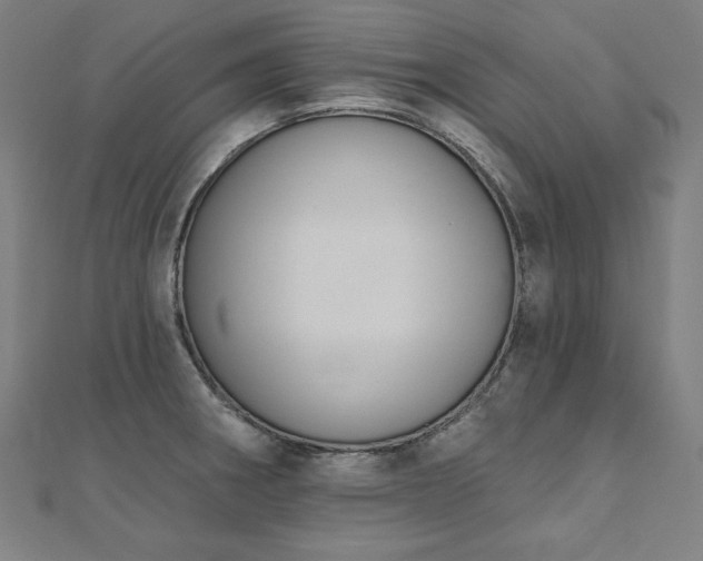 X0000112501282200908171301
