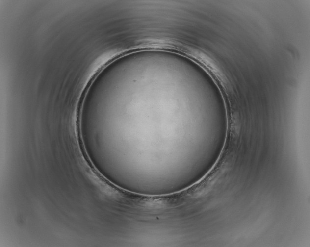 X0000112501283200908171301