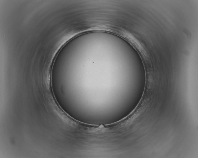 X0000112501284200908171301