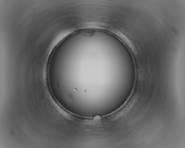 X0000112501285200908171301