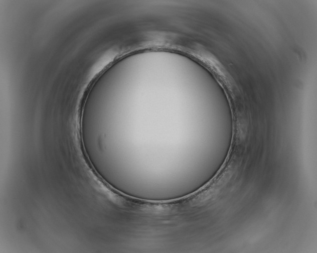 X0000112501286200908171301