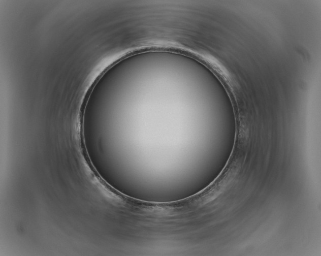 X0000112501287200908171301