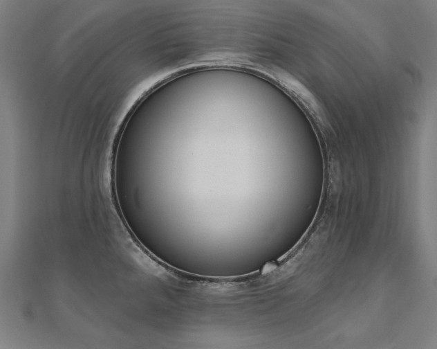 X0000112501288200908171301