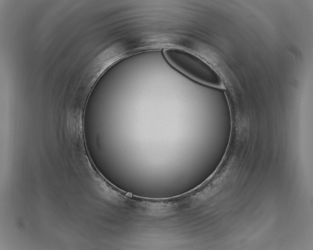 X0000112501289200908171301