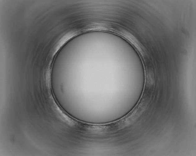 X0000112501290200908171301
