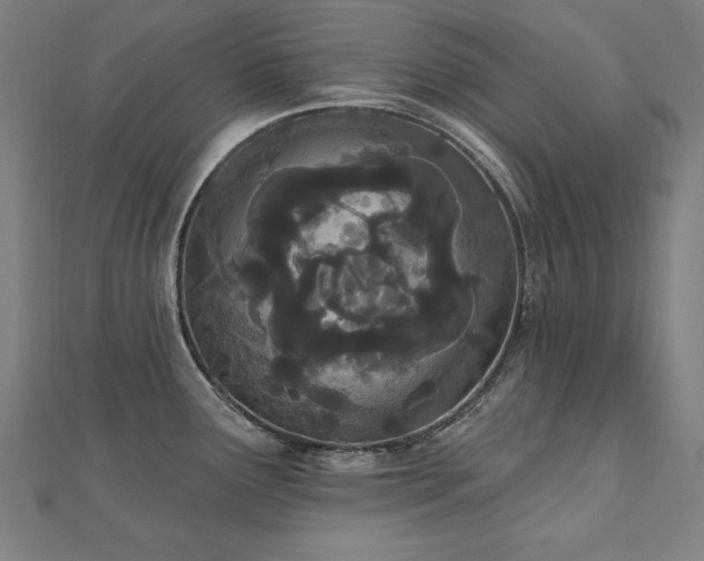 X0000112501291200908171301