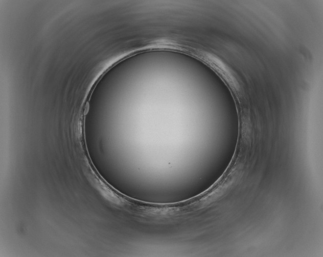X0000112501292200908171301