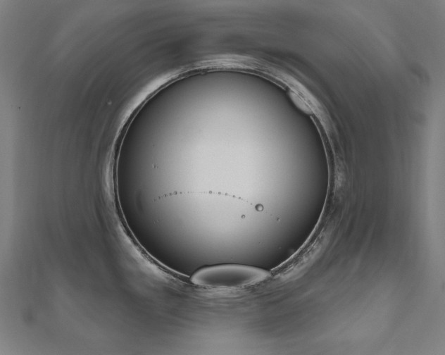 X0000112501293200908171301