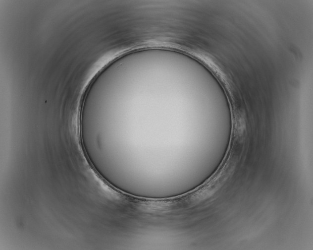 X0000112501294200908171301