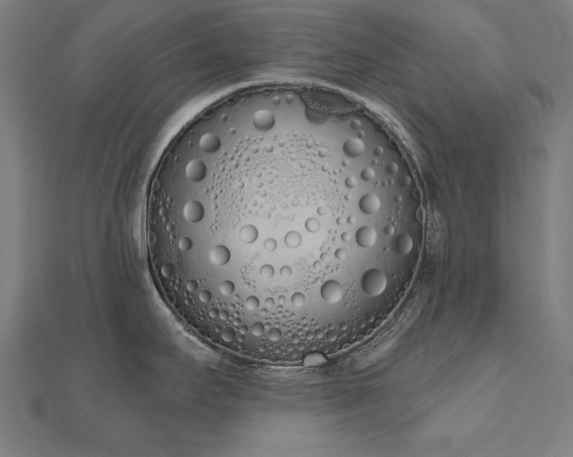 X0000112501295200908171301