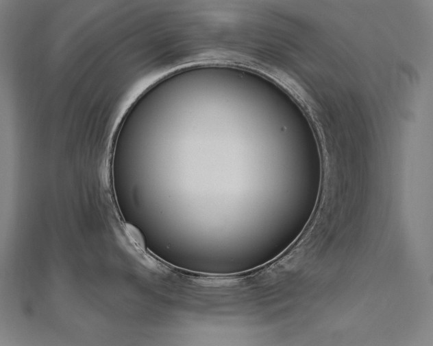 X0000112501296200908171301