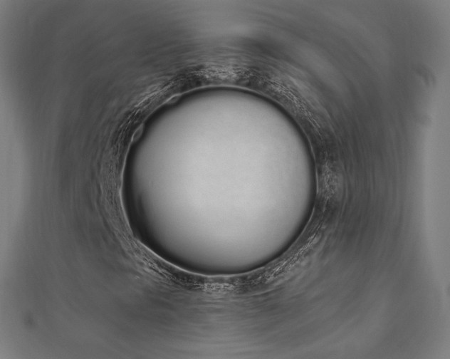 X0000112501297200908171300