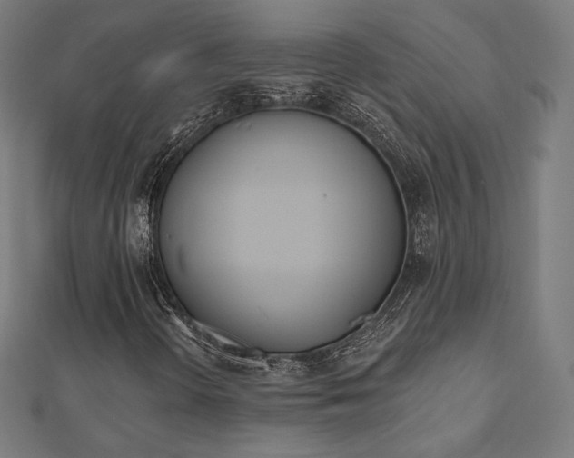 X0000112501298200908171300