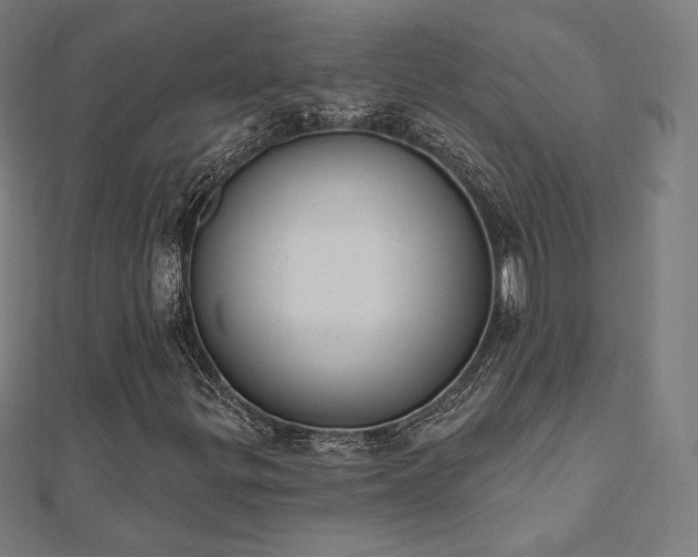 X0000112501299200908171300