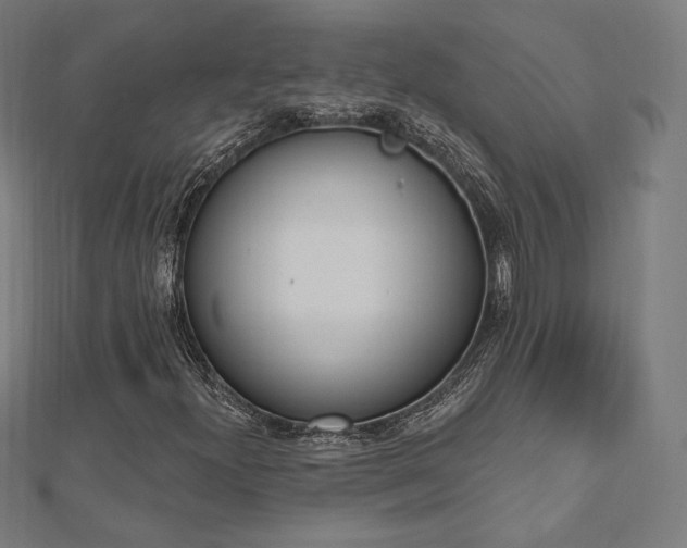 X0000112501300200908171300