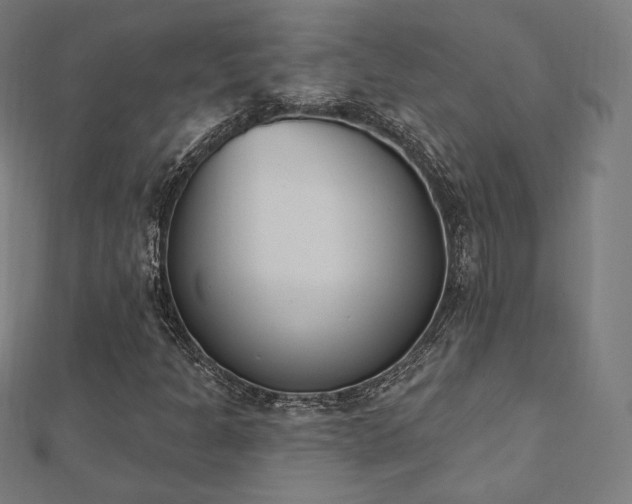 X0000112501301200908171300