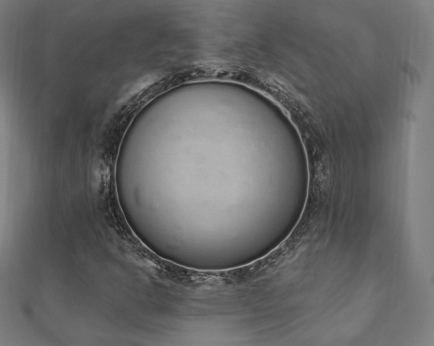 X0000112501302200908171300