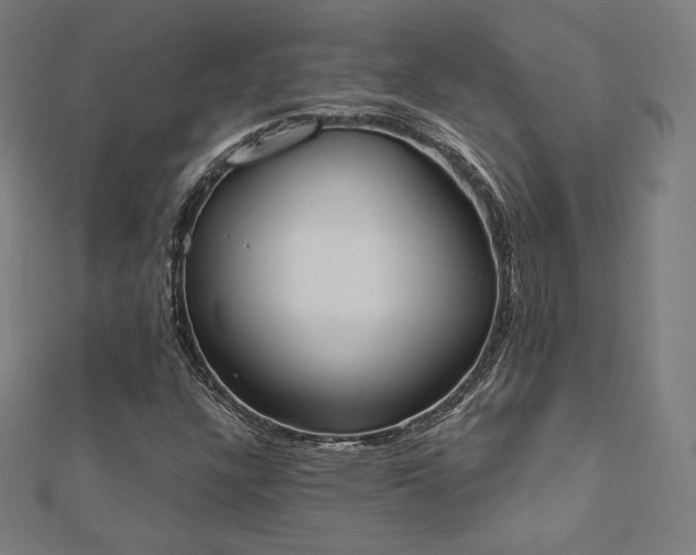 X0000112501304200908171300