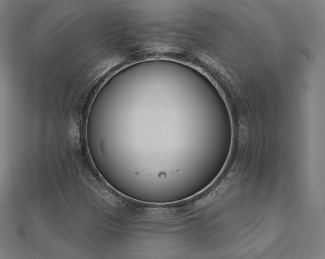 X0000112501305200908171300