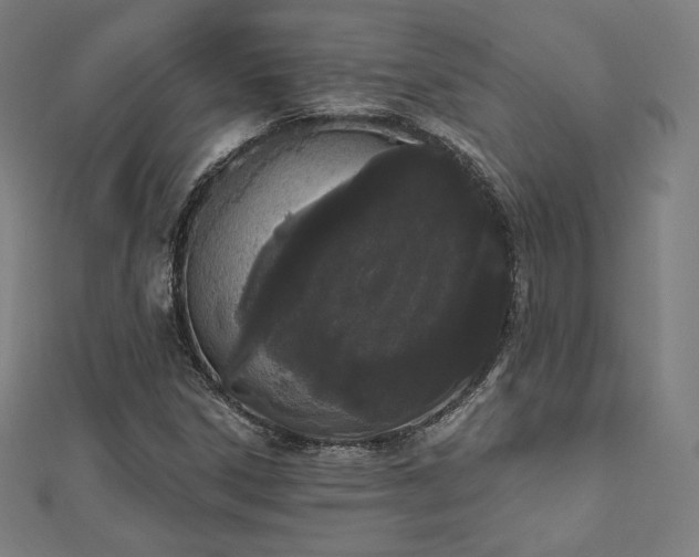 X0000112501306200908171300