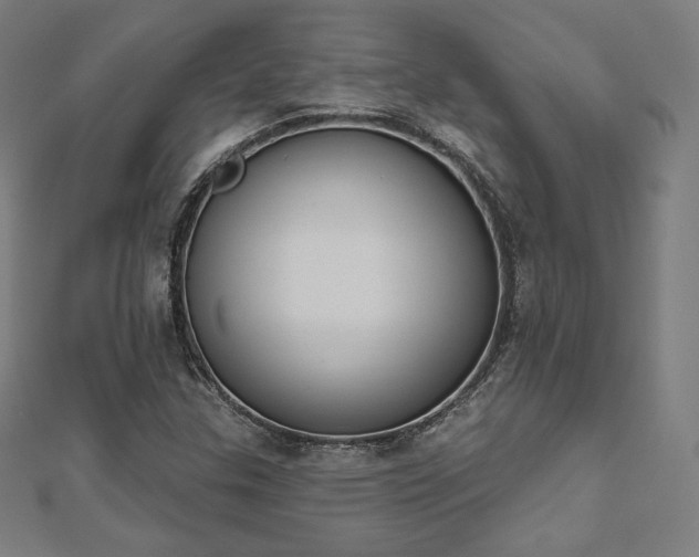 X0000112501307200908171300