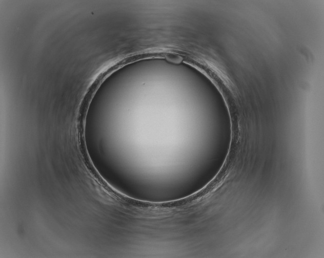 X0000112501308200908171300