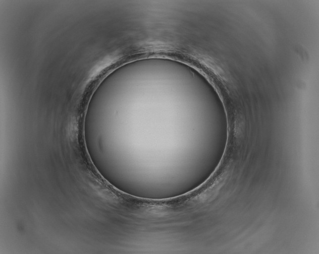 X0000112501309200908171300