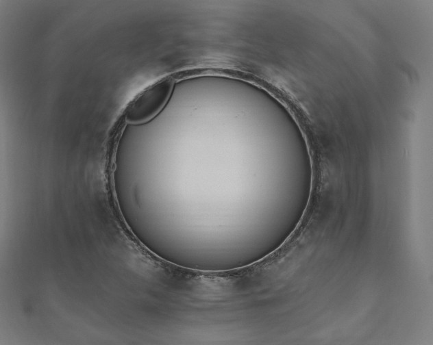 X0000112501312200908171300