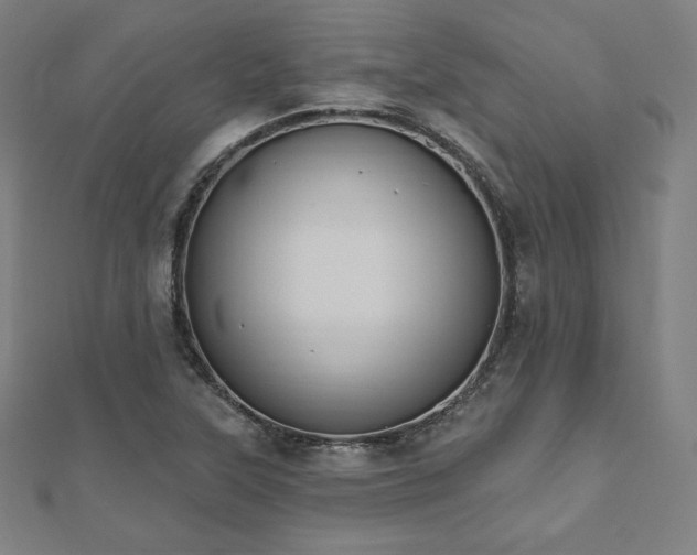 X0000112501315200908171300