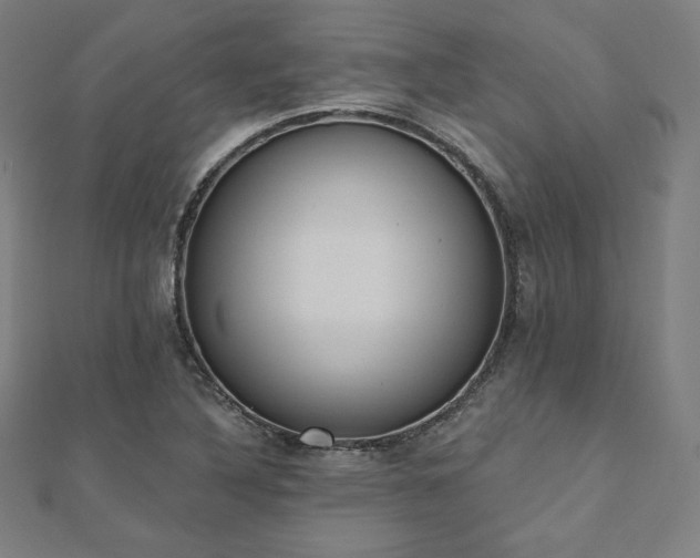 X0000112501316200908171300