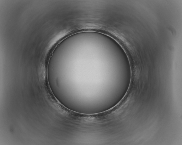 X0000112501317200908171300