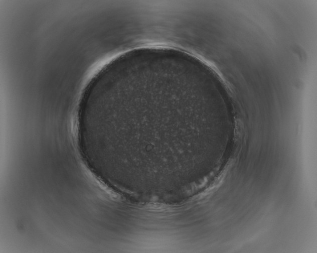 X0000112501319200908171300