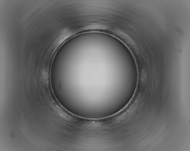 X0000112501321200908171300