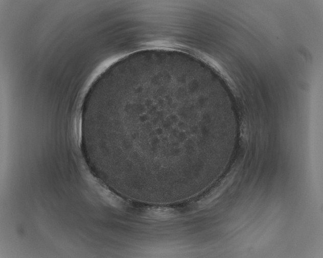 X0000112501323200908171300