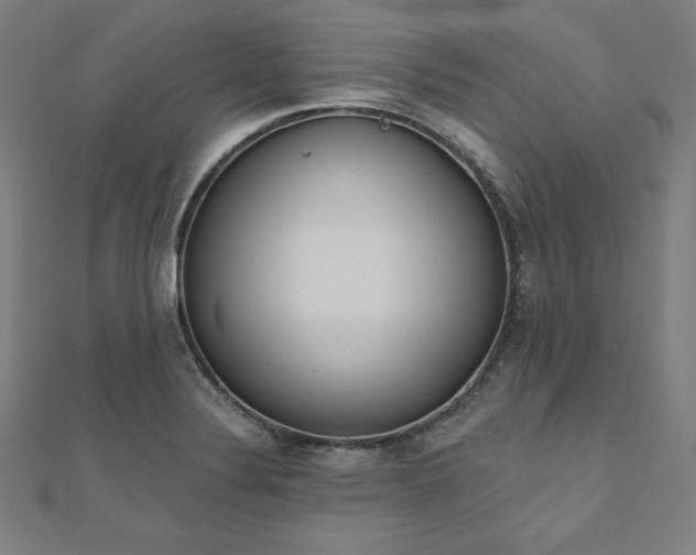 X0000112501324200908171300
