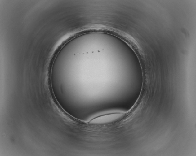 X0000112501326200908171301