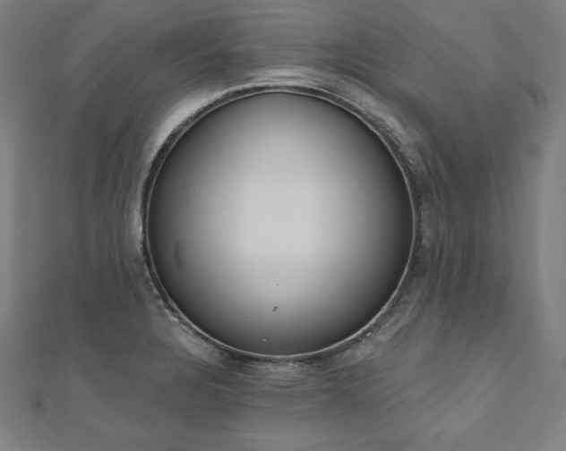 X0000112501328200908171301