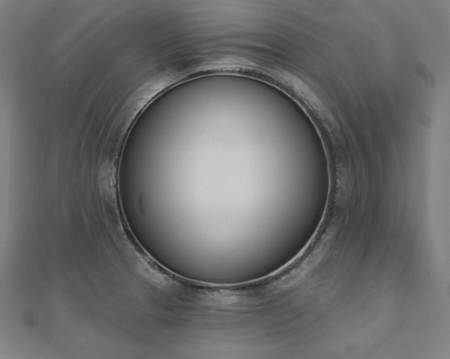 X0000112501329200908171301