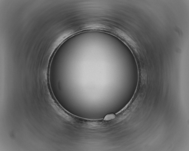 X0000112501330200908171301