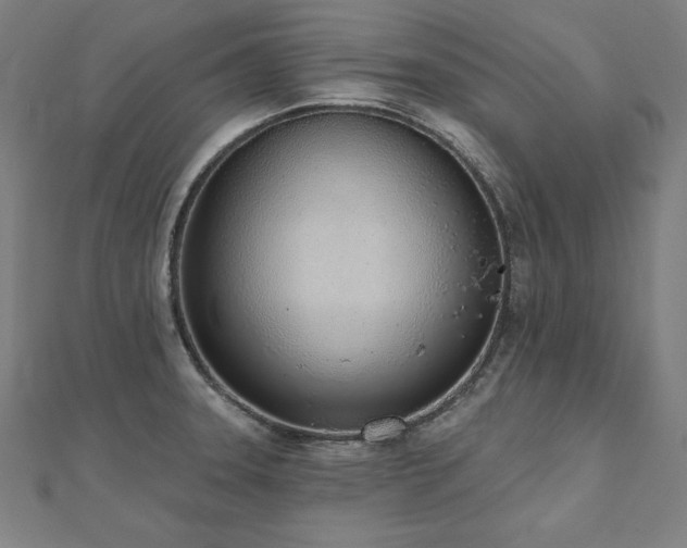 X0000112501331200908171301