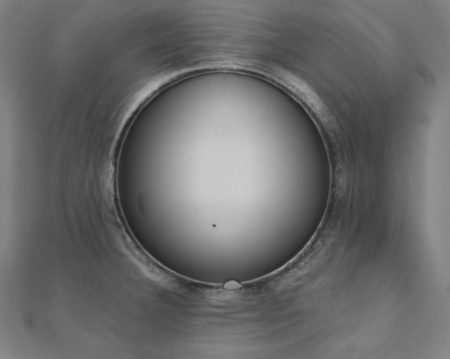 X0000112501332200908171301