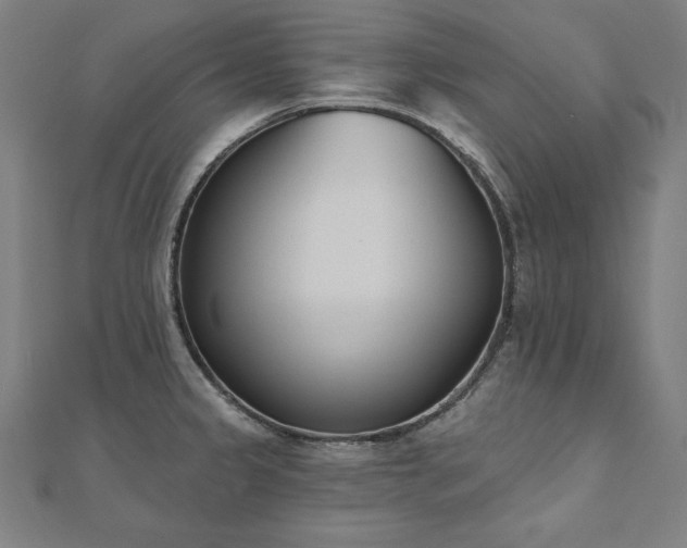 X0000112501333200908171301
