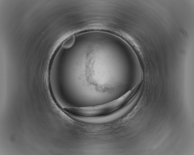 X0000112501334200908171301