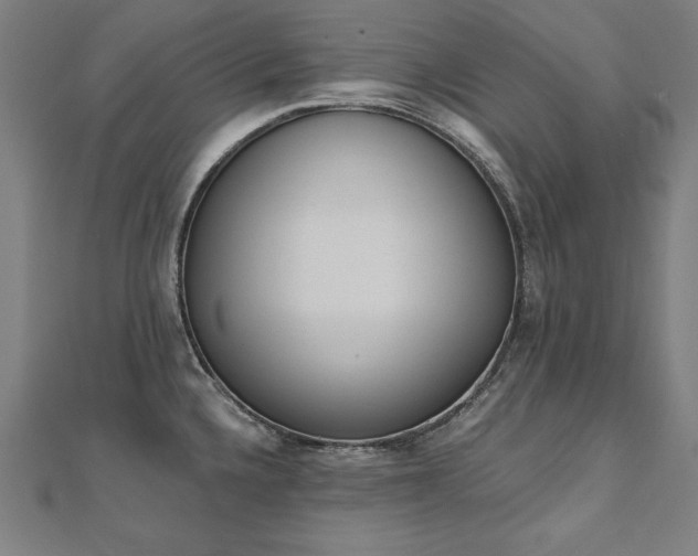 X0000112501336200908171301