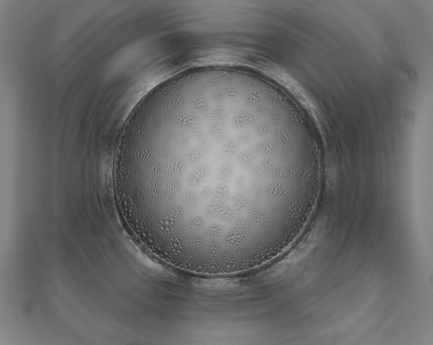 X0000112501337200908171301