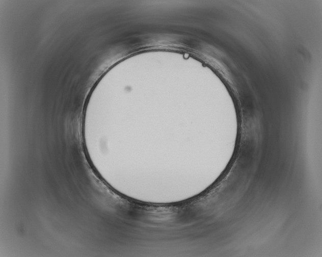 X0000112501338200908171301