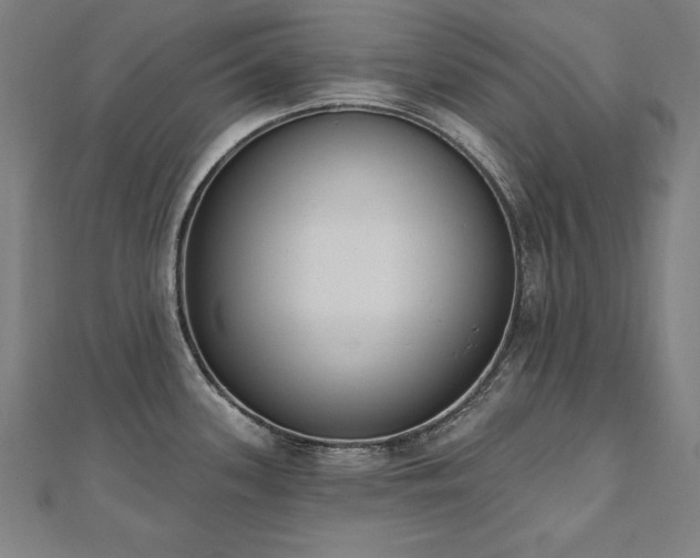 X0000112501339200908171301