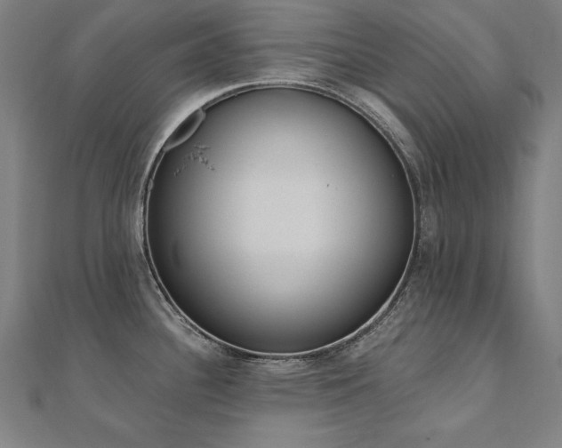 X0000112501340200908171301